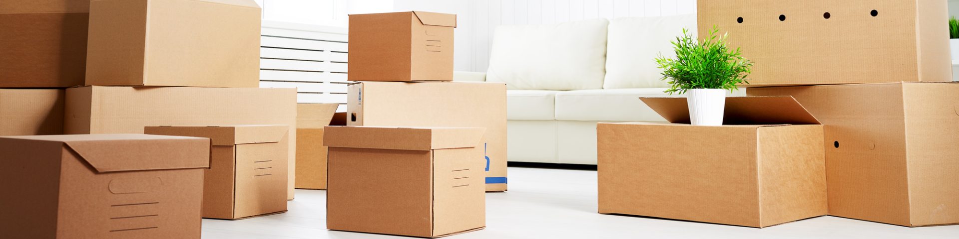 nventory also features durable shopping bags